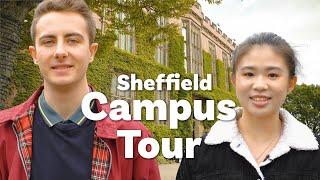 Campus Tour  University of Sheffield [upl. by Brandes160]