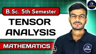 Tensor Analysis  Tensor Analysis in Hindi  BSc Maths 5th Semester [upl. by Rehpotsyrhc]