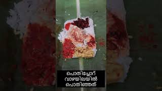 I Came Just To Eat Pothichoru traditional Kerala Meals  Must Watch [upl. by Nave]