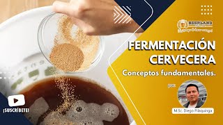 Fermentación Cervecera [upl. by Adnarom]