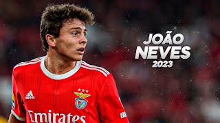 João Neves is a Pure Class Player  2023ᴴᴰ [upl. by Mushro]