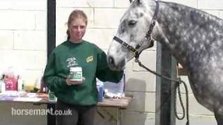 How to protect your horse from flies midges and insect bites  fly spray and cream [upl. by Ainyt]