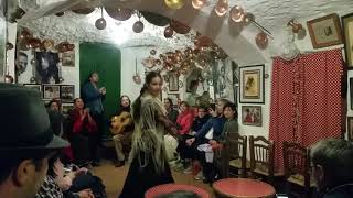 Flamenco in Sacromonte Granada [upl. by Meehsar137]