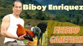 Biboy Enriquezs FireBird GameFarm Full Tour Visit [upl. by Iman938]