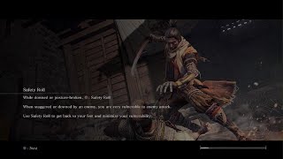 Sekiro hitless Boss 38 Headless [upl. by Joses]