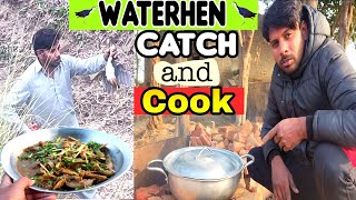 Waterhen Catch And Cook 🥘 [upl. by Aznerol109]