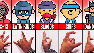 Gang Signs and Their Meanings Bloods Crips Chicago [upl. by Oratnek264]