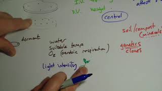 RPA 8  Germination [upl. by Adim]