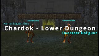 Everquest P99  Chardok Necromancer Solo  Kennel Master and Overseer  Getting that HP UP [upl. by Airetak]