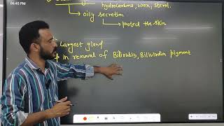 excretory products and their elimination part 4 biology class 11th ncert solutions [upl. by Drageruaeb]