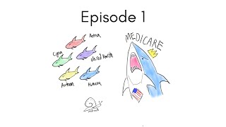 Hospital Billing Explained  Episode 1 [upl. by Atiuqrahs]