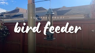 The Ultimate SquirrelProof Bird Feeder Squirrel Buster Plus Tested [upl. by Elizabet]