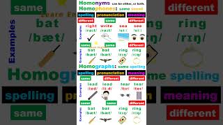 Homophones Homographs and Homonyms [upl. by Mulligan]