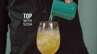 How to make a Disaronno Fizz Cocktail  Simply Cocktails Recipe [upl. by Oniluap]