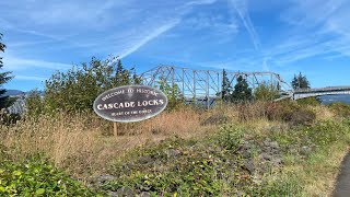 Pacific Crest Trail 2024 Timberline to Cascade Locks [upl. by Nyladnarb]