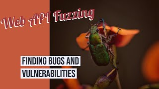 Catching Bugs through Web API Fuzzing  OpenAPI [upl. by Lenwood]