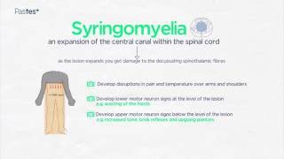 MRCP Part 1 Online Neurology Spinal Cord Anatomy [upl. by Akiemaj]