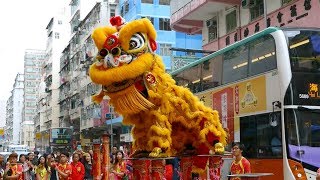 Chinese New Year 2019 Lion Dance Hong Kong [upl. by Jelks888]