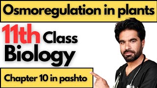 Osmoregulation in plants  Class 11th biology  Chapter 10 [upl. by Irb]