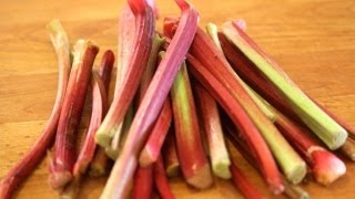 Rhubarb 101  Everything You Need To Know About Rhubarb [upl. by Bates]