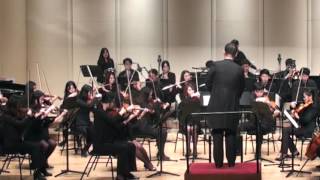 20151118 08 Symphony No 1  4th Movement Brahms [upl. by Sivie278]