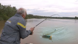 Pecanje šarana na Savi  Dubinsko pecanje šarana II deo  Fishing carp in river [upl. by Aromas]