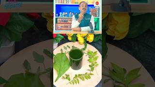 Acharya Manish Jis Healthy Green Juice Recipe shorts acharyamanishji ashortaday [upl. by Arlyn226]