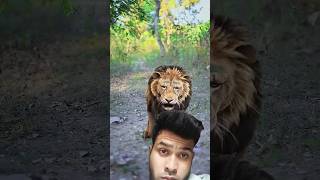 Khajana Dhudne aye the Sher ji mil Gaya comedy reaction greenscreen vfx [upl. by Maurise]