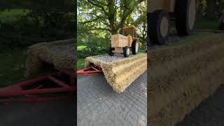 🚜 quotTrecker fahr´nquot 🚜 😁 Erntedankfest Sittensen 06102024  Landjugend Anderlingen [upl. by Assenov]