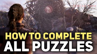 Senuas Saga Hellblade II  All Puzzle Solutions Walkthrough Rune Gates Blue Flames Stone Altars [upl. by Airel420]