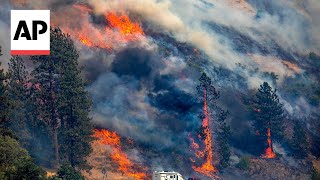 Video shows wildfires tearing through the Idaho border [upl. by Llerrud]