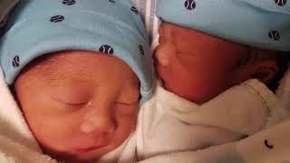 Monochorionic Diamniotic Twins I Identical Twins I Share the Same Placenta I TWINventures [upl. by Abbe]