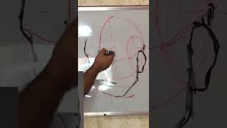 The Loomis Method of Drawing the Head a Step by Step 01 [upl. by Ardnik]