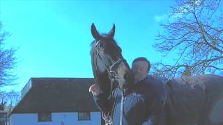 Sprinter Sacre Out Of Champion Chase [upl. by Nalrah221]