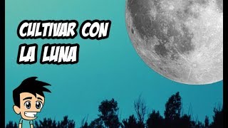 Cómo Cultivar y Sembrar Según las Fases de la Luna 🌙 Consejos para Huerto y Jardín 🌱 [upl. by Leyameg388]