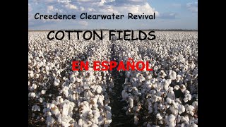 Creedence Clearwater Revival  Cotton Fields Español [upl. by Pauwles]