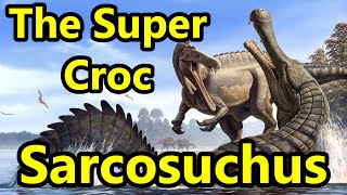 Sarcosuchus The Prehistoric Super Croc [upl. by Anyel]