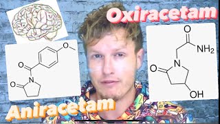 Aniracetam vs Oxiracetam Next Level Brain Boosters [upl. by Whall]