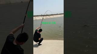 Actual measurement of 45 meters steel rod fishing naturefishing fishingequipment fishingrod [upl. by Earezed]