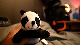 asmr panda soft spoken [upl. by Euseibbob333]