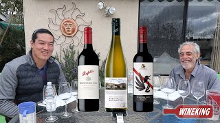 Breaking Down AustralianNew Zealand Wines Penfolds and d’Arenberg [upl. by Nonek]