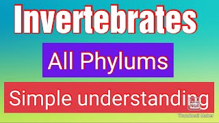 InvertebratesAll phylaAnimal biodiversity 1BiologyINVERTEBRATESA complete Understanding [upl. by Onahpets]