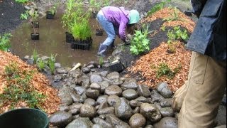 Rain Gardens  Stormwater Pollution Solutions [upl. by Gleda]