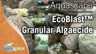 Eliminate Algae in Your Pond with Aquascape EcoBlast™ Granular Algaecide [upl. by Ecirtnahc]