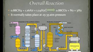 AMMONIA PRODUCTIONavi [upl. by Oiluarb138]