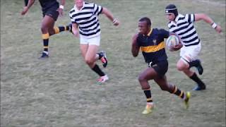 Best Rugby Dive of all time  DHS vs Hilton   Libo Mngomezlu [upl. by Esadnac]