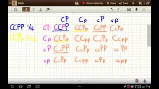 Parte 2 Cuadro de Punnett Tu Universidad Virtual Genetica Mendeliana y herencia [upl. by Lyrrehs]