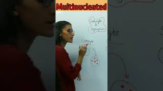 Coenocyte and syncytium difference  biology [upl. by Netsreik]