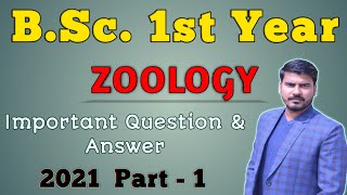 BSc 1st Year Important Question Answer Part  1  202122 [upl. by Ihteerp]