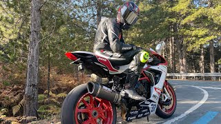 Mv Agusta F3 800 Vs S1000rr Street Ride [upl. by Yrdua]